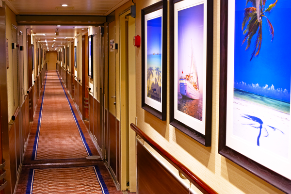 Wind Surf Gallery Image